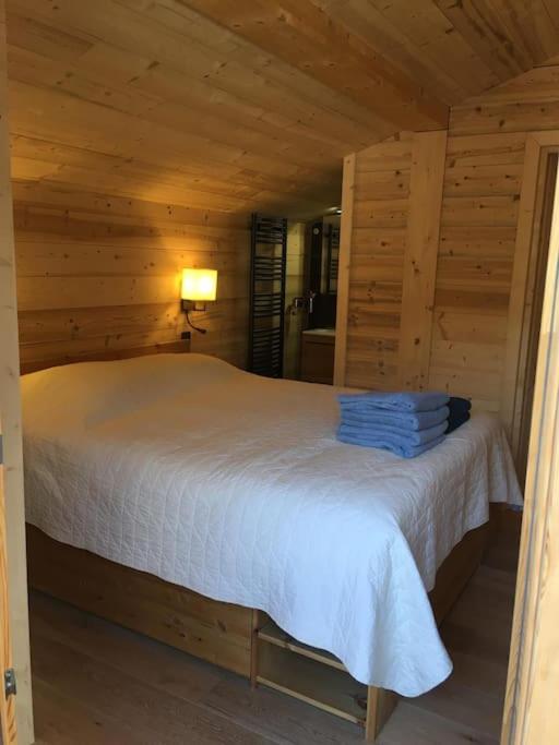 Individual chalet for up to 12 people maximum - Chalet - 17
