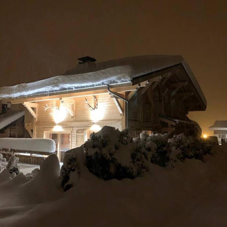 Individual chalet for up to 12 people maximum - Chalet - 3