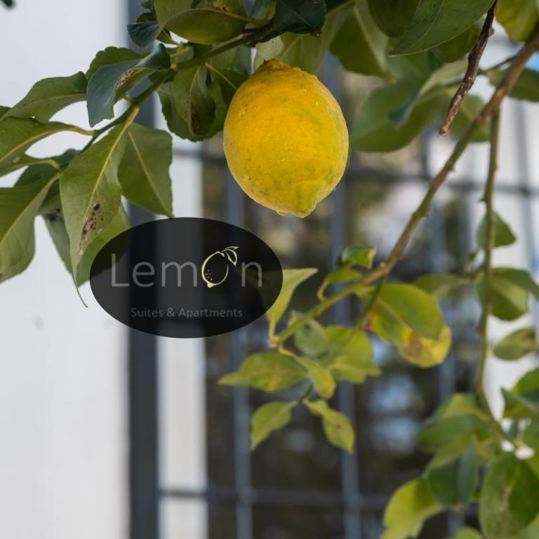 lemon suites - Appartamento Superior con Vista Città - 1