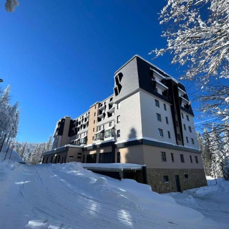 Aparthotel Zlatni Javor - Apartman 511 - One-Bedroom Apartment - 10