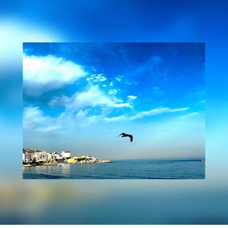 APARTAMENTO FRENTE AL MAR - One-Bedroom Apartment - 21