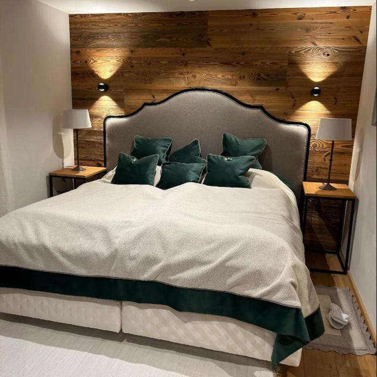 Spa, Sport & City Luxury Ski-in Ski-Out Apartment - Appartamento con 2 Camere da Letto - 3