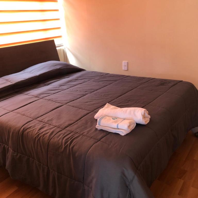 Cabaña.lostanos - One-Bedroom Apartment - 5