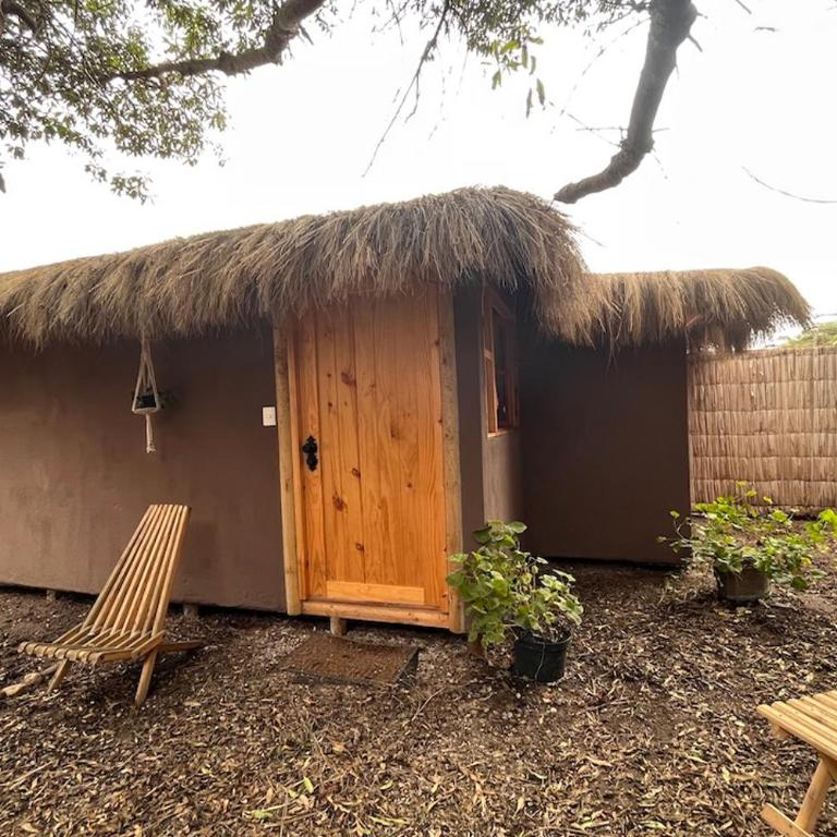 El Arbol Eco Lodge - Bungalow con vistas al jardín - 5