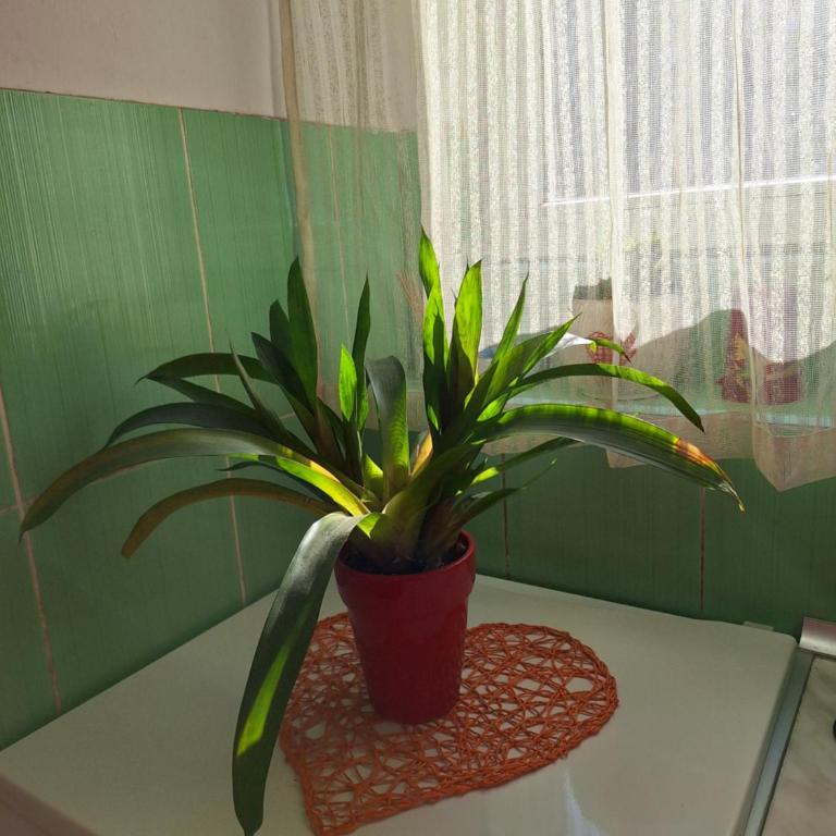 Apartman Maja - Apartman sa 1 Spavaćom Sobom - 28