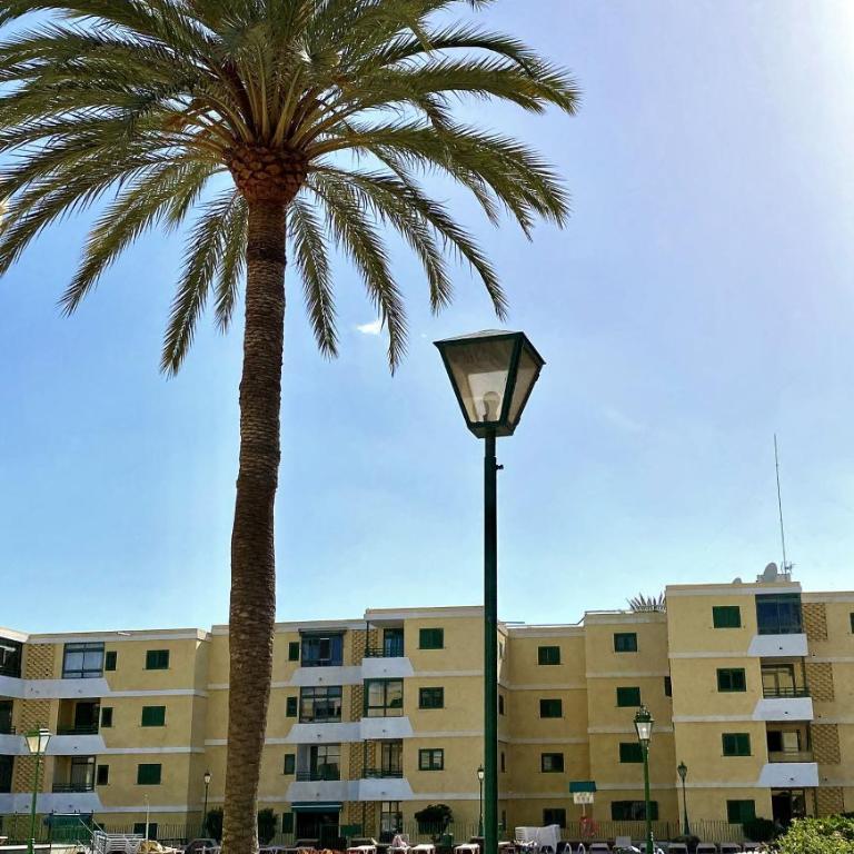 Las Olas Sun - Two-Bedroom Apartment - 21