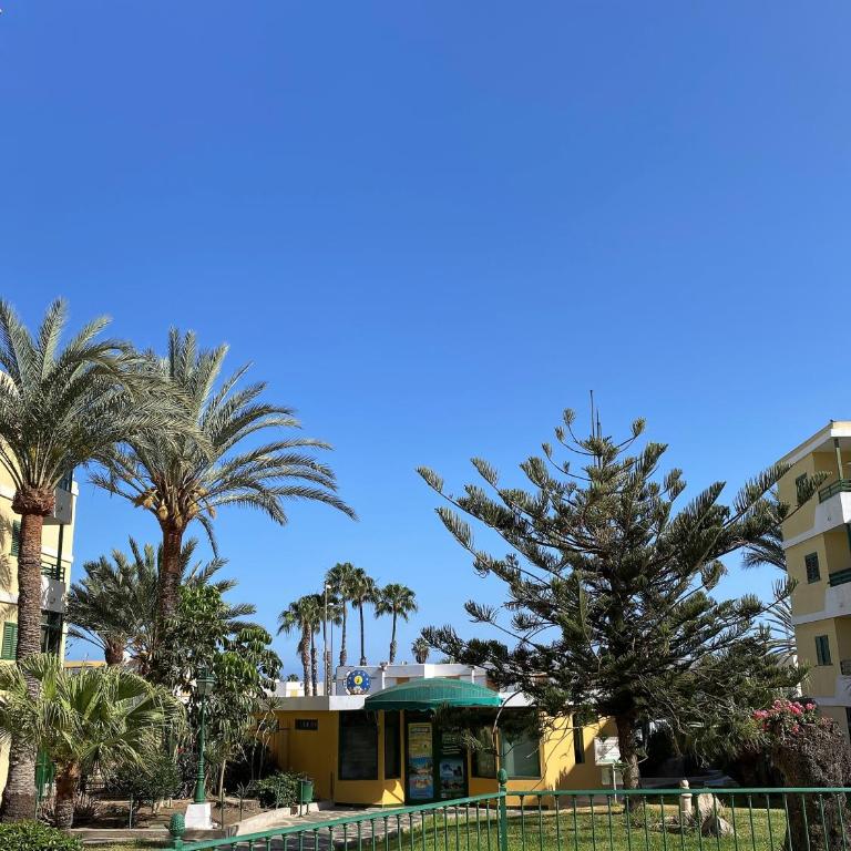 Las Olas Sun - Two-Bedroom Apartment - 23