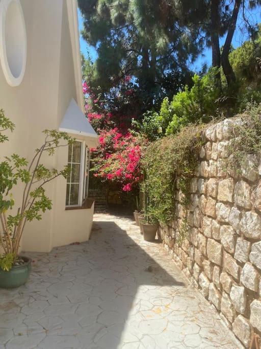 Villa Perla close to beach with a private pool - Villa - 16