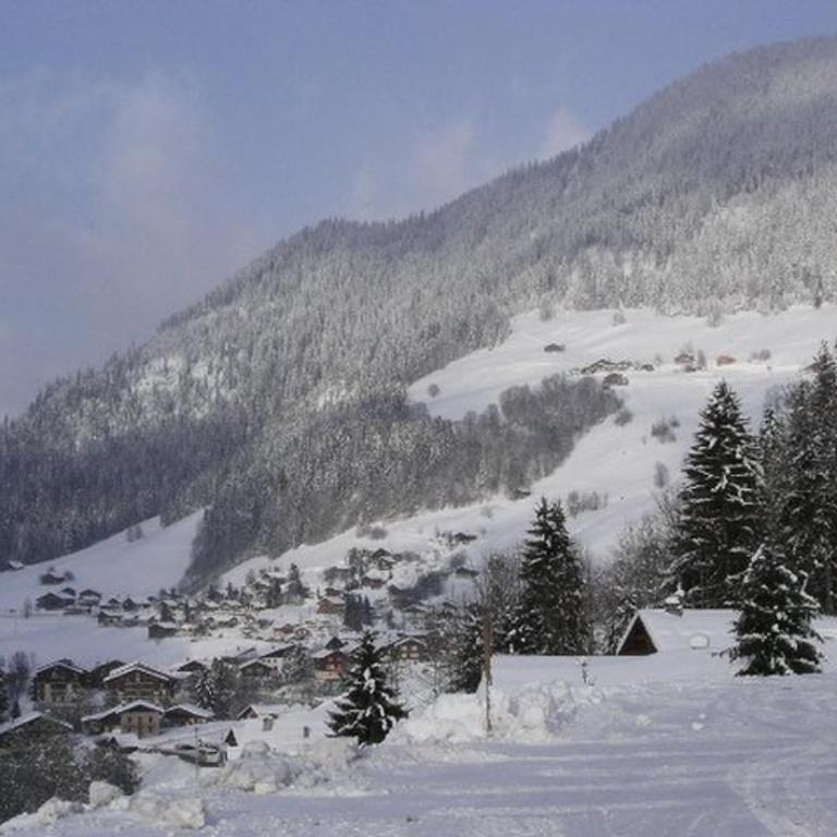 Charmant appart **, 6 pers, 2 balcons, prox pistes & village, parking gratuit - Appartement 2 Chambres - 8