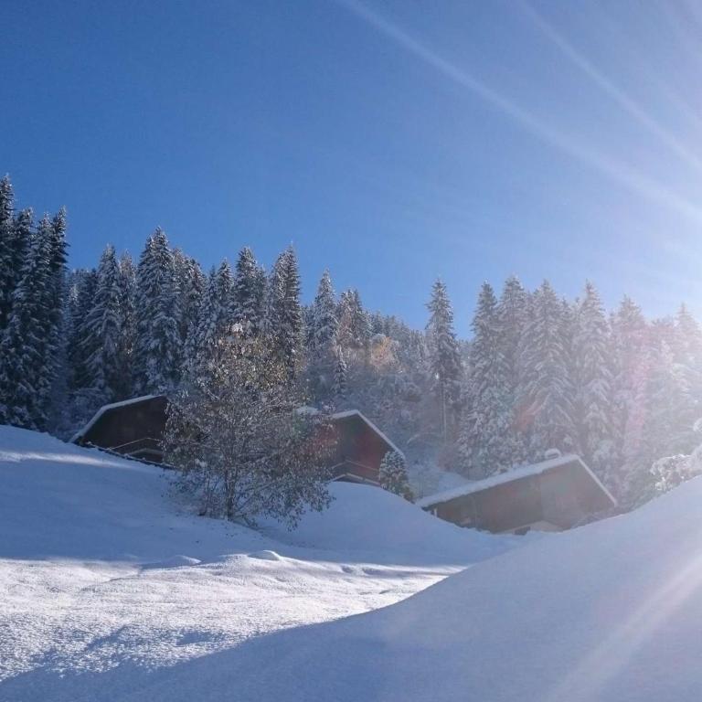 T3 cosy avec cheminée, pour 4-5 pers., skis aux pieds, terrasse sud/ouest, calme à Arêches-Beaufort - Two-Bedroom Apartment - 10
