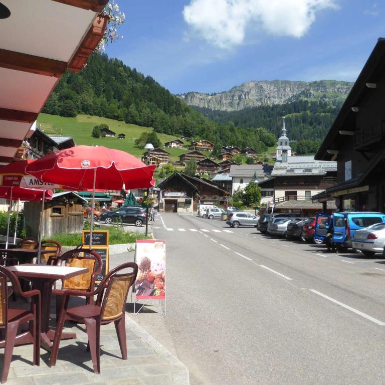 Appartement cosy pour 4-5 personnes, centre village, proche pistes, ascenseur, bien équipé - Appartement 1 Chambre - 8
