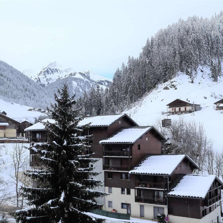 Appartement cosy pour 4, au cœur du village, proche des pistes et avec piscine estivale - Appartement 1 Chambre - 9
