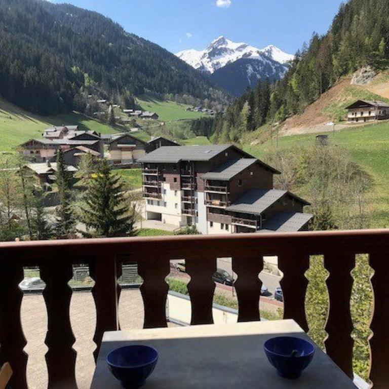 Appartement cosy pour 4, au cœur du village, proche des pistes et avec piscine estivale - Appartement 1 Chambre - 10