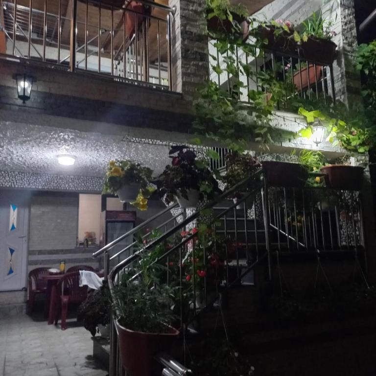 Apartman Varcar - Apartment - 1