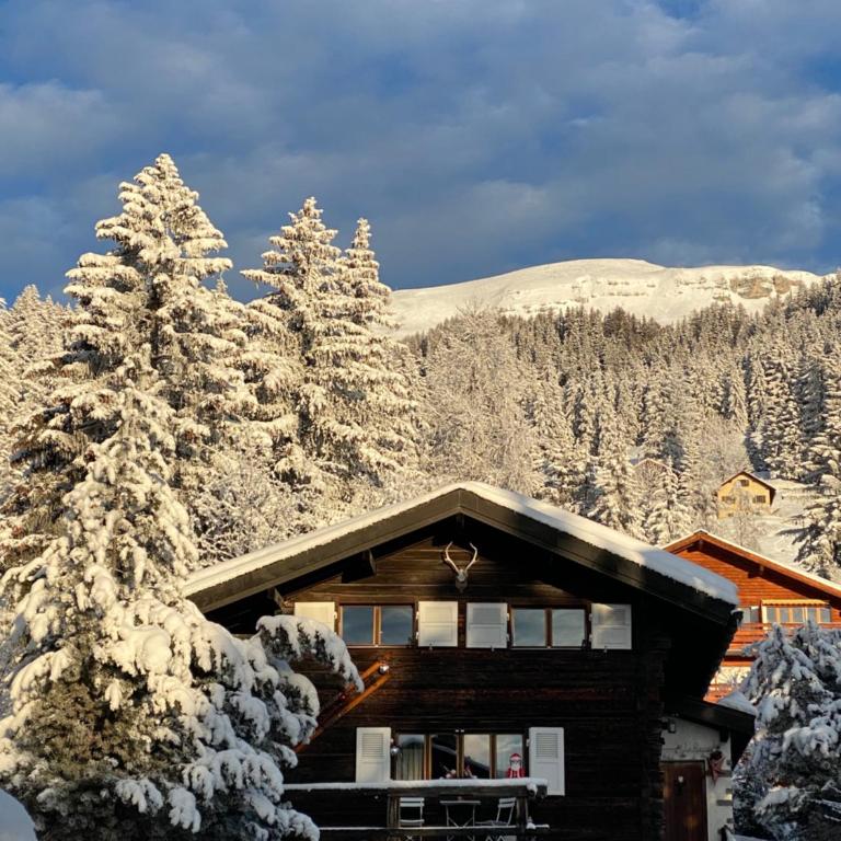 Chalet atypique Colorado Crans-Montana - Chalet 3 Chambres - 2