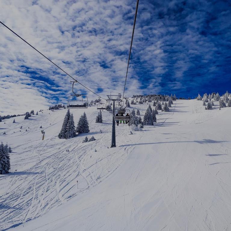 Apartman Snezanka Kopaonik - One-Bedroom Apartment - 1