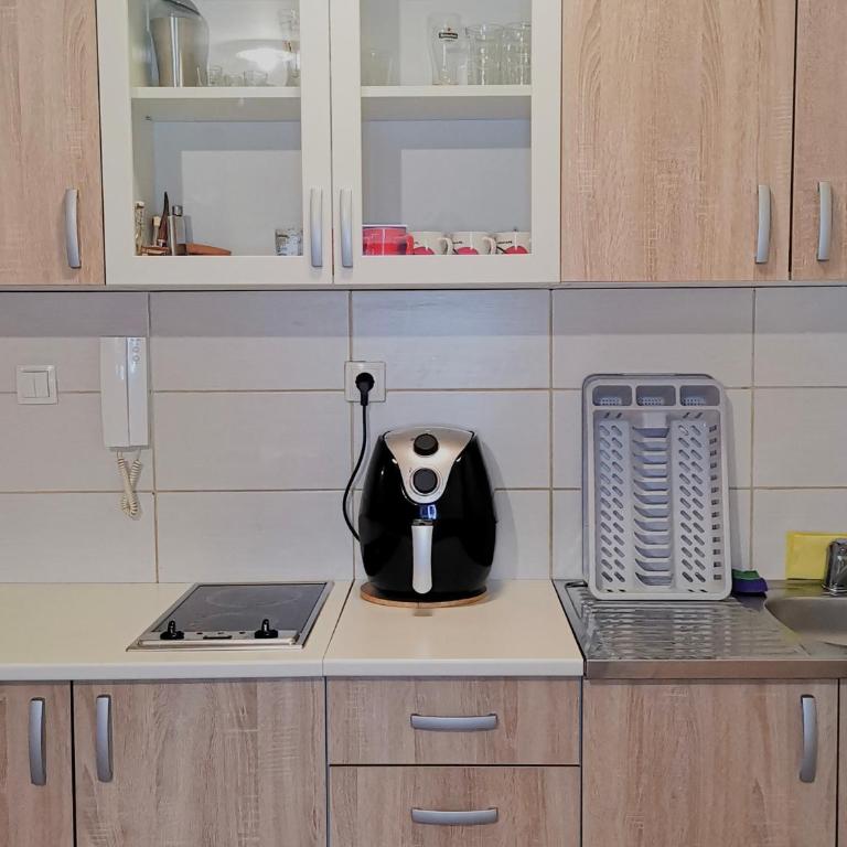 Apartman Snezanka Kopaonik - One-Bedroom Apartment - 16