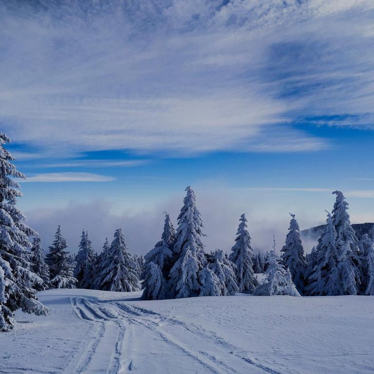 Apartman Snezanka Kopaonik - One-Bedroom Apartment - 21