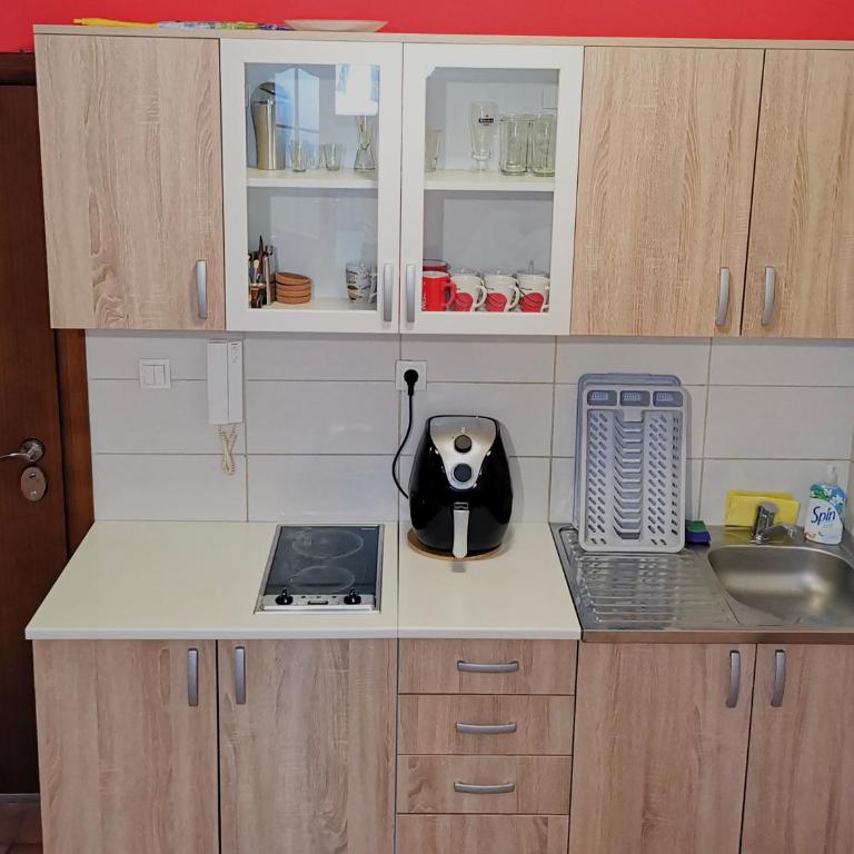 Apartman Snezanka Kopaonik - One-Bedroom Apartment - 4