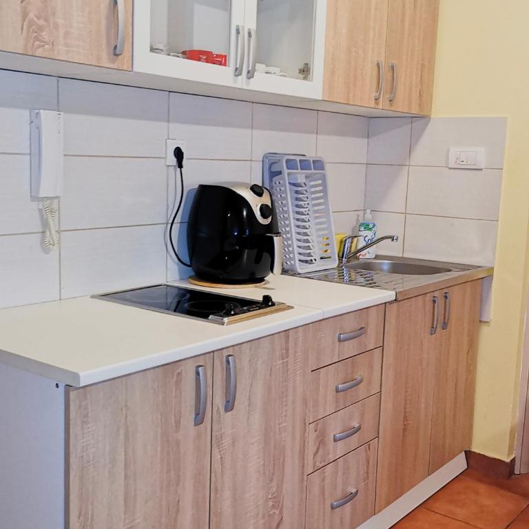 Apartman Snezanka Kopaonik - One-Bedroom Apartment - 8