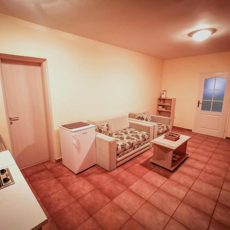 Apartman Snezanka Kopaonik - One-Bedroom Apartment - 2