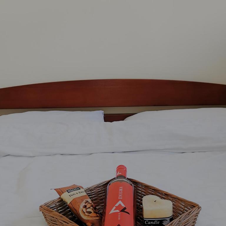 Apartman Snezanka Kopaonik - One-Bedroom Apartment - 3