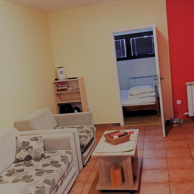 Apartman Snezanka Kopaonik - One-Bedroom Apartment - 5