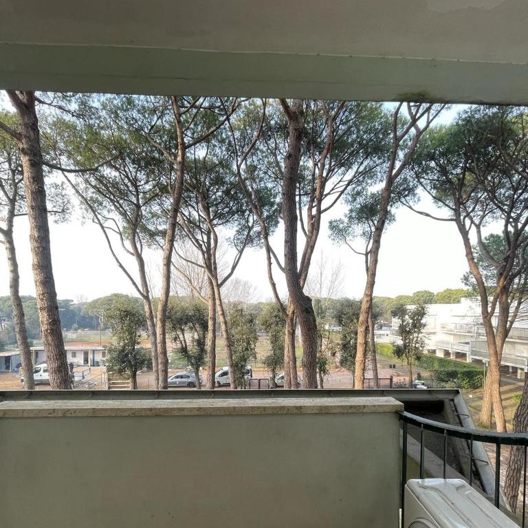 ARISTON - WALTERIGATO Apartments SOLO PER FAMIGLIE - Appartamento Standard - 1