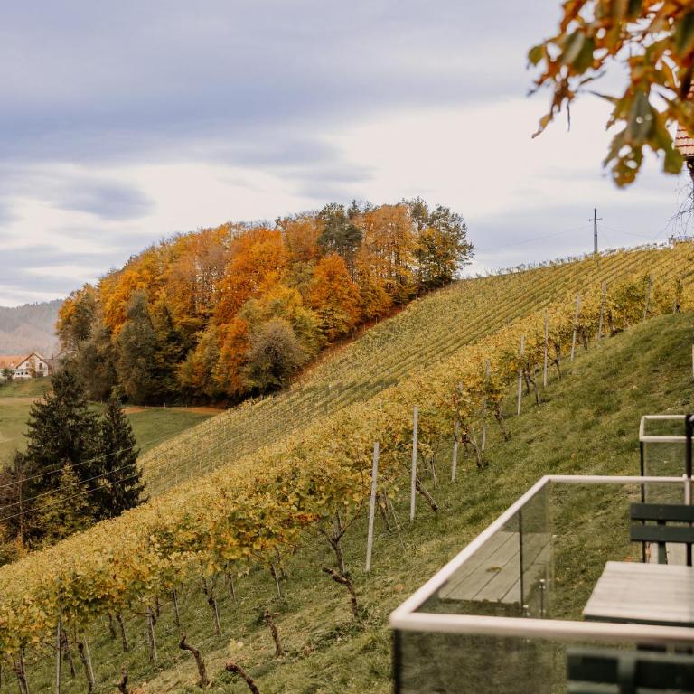 Weingut Sternat vlg. Schmalzpeter - Ferienhaus - 49