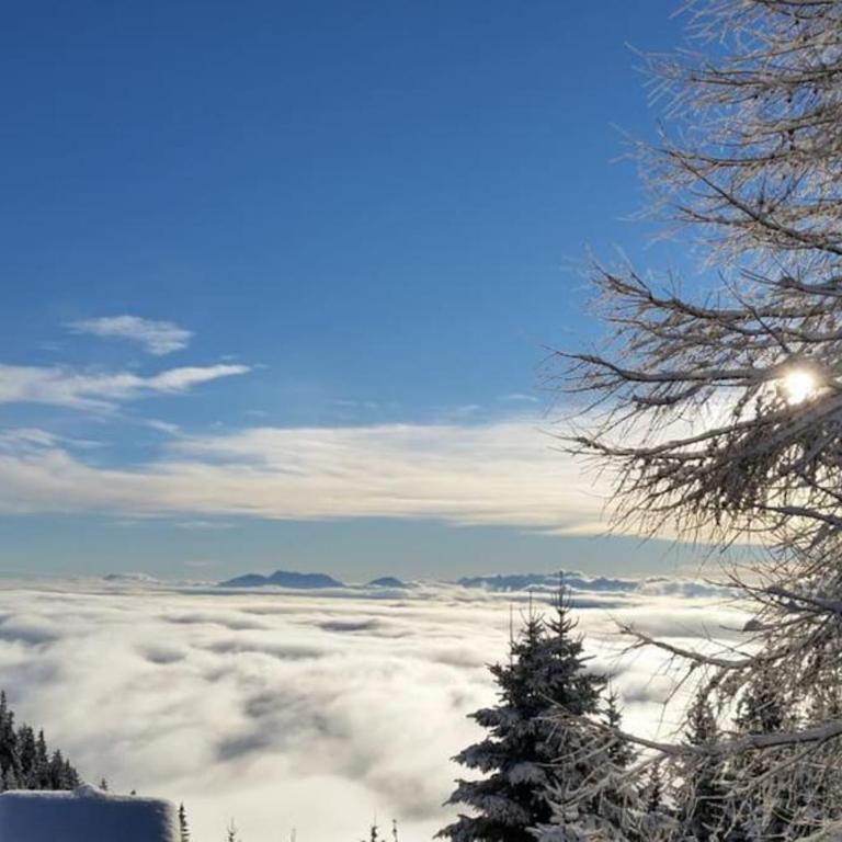 Atemberaubende Aussicht, direkter Pistenzugang - Apartment mit 1 Schlafzimmer - 11