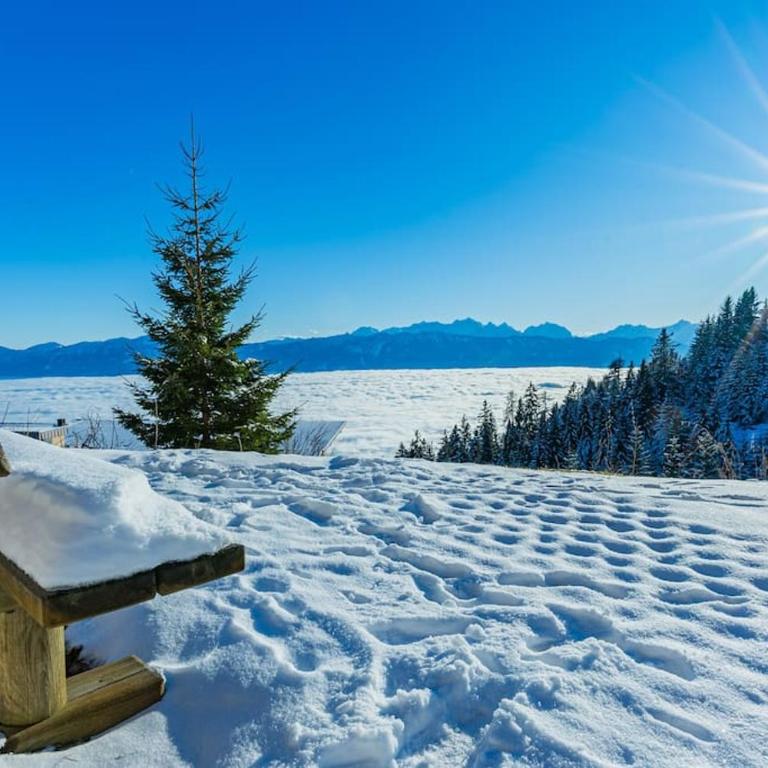 Atemberaubende Aussicht, direkter Pistenzugang - Apartment mit 1 Schlafzimmer - 17