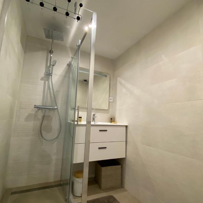06BD - Bel appartement 6 personnes face pistes - Appartement - 12