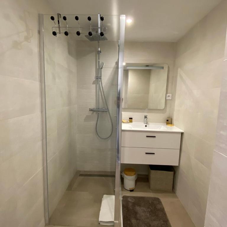 06BD - Bel appartement 6 personnes face pistes - Appartement - 15