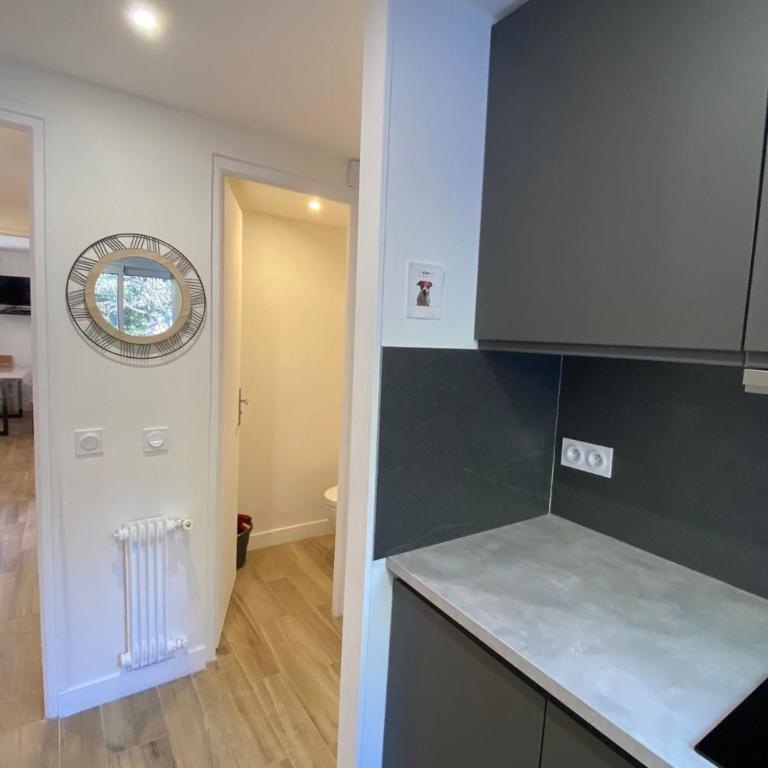 06BD - Bel appartement 6 personnes face pistes - Appartement - 20