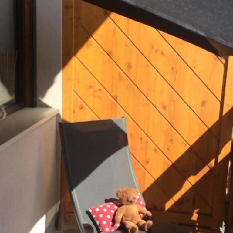 Studio cosy pour 4 à l'Alpe d'Huez, proche télécentre, commerces, terrasse sud, animaux bienvenus - FR-1-405-228 - Appartement - 9