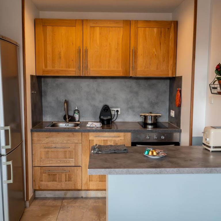 Les 3 Monts - vue panoramique sur les montagnes - Apartamento de 1 dormitorio - 9