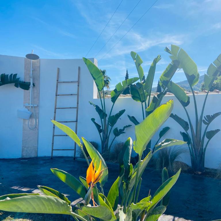 Casa Avellana - Villa de 3 dormitorios - 11