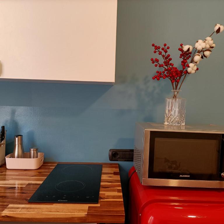 Appartamento in Pomposa, nel cuore della città - One-Bedroom Apartment - 13
