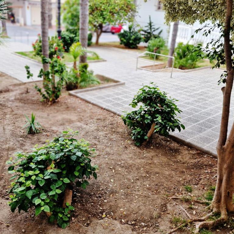 Velez Nazari La Azucarera - Apartamento de 2 dormitorios - 38