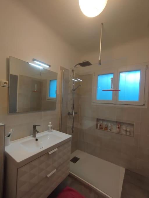 Villa Lou Mazet - Piscine privée - Villa de 3 dormitorios - 17