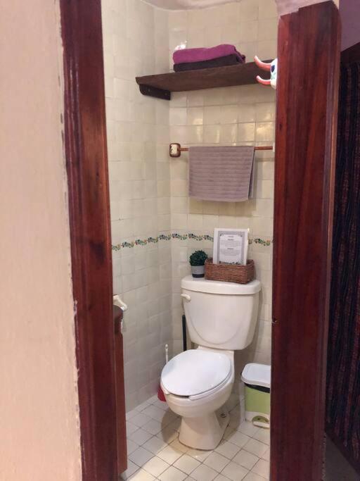Estudio Sacbe 5ta Av - One-Bedroom Apartment - 9