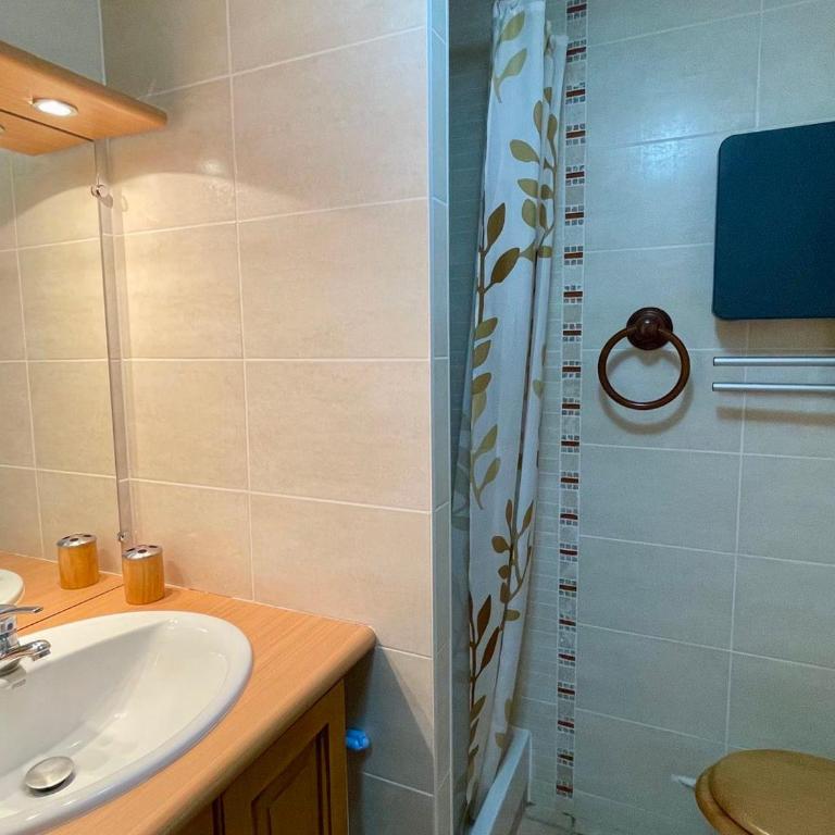 Appartement confortable avec wifi au pied des pistes - FR-1-505-204 - Apartment - 13