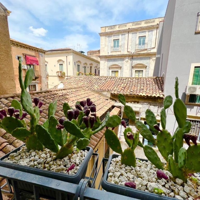 ERASMO 19 Luxury Home - Appartamento con 2 Camere da Letto - 24