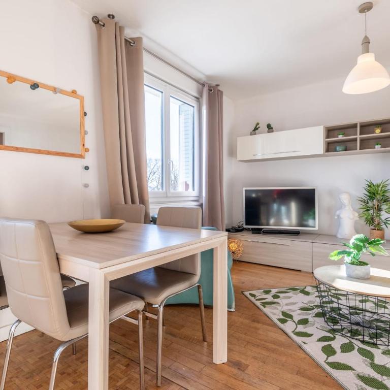 ALBIGNY IMPERIAL - Confortable flat near the lake - Apartamento - 12