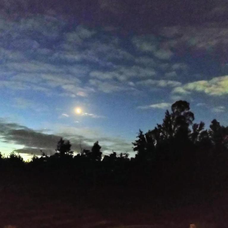 Cabaña Valdivia Piedra Blanca 1 - Casa de 2 dormitorios - 24