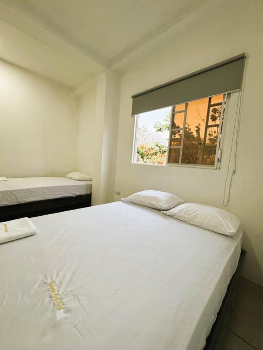 Sea Lion Suite 02 - Apartamento de 2 dormitorios - 16