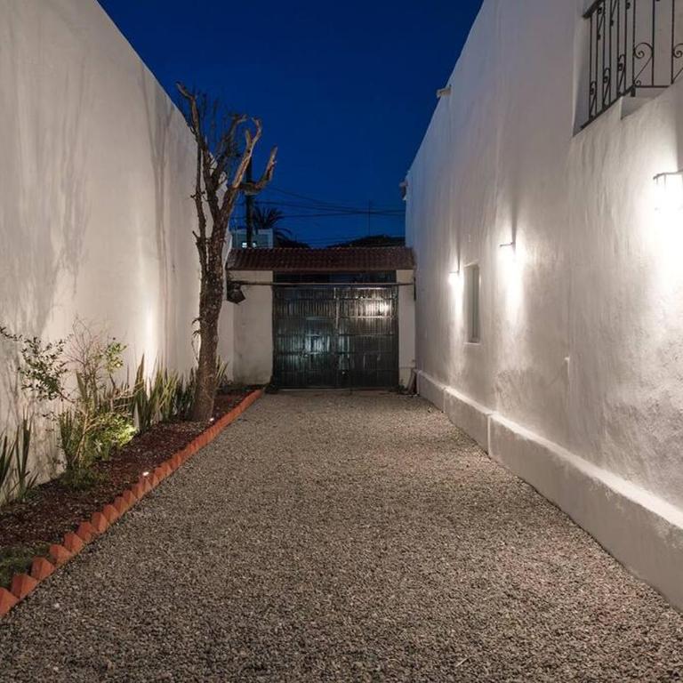 Colomos, 5 BR w/AC king bed, backyard & parking. - Apartamento - 19