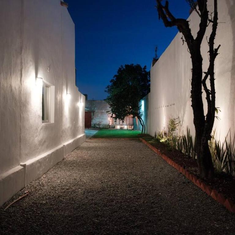 Colomos, 5 BR w/AC king bed, backyard & parking. - Apartamento - 45