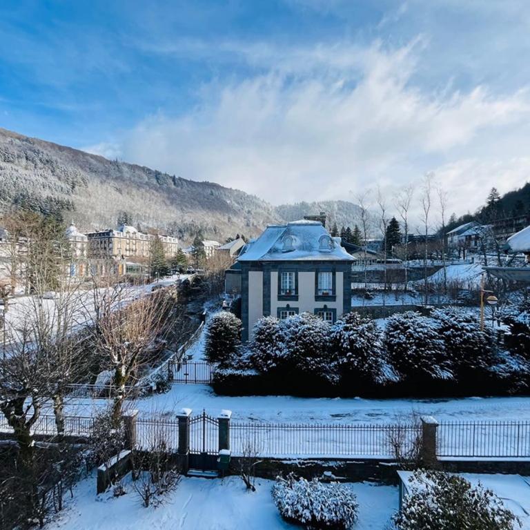 Charmant T3 au Mont-Dore, jusqu'à 4 pers, wifi, vue Puy Gros - FR-1-608-265 - Apartment - 2