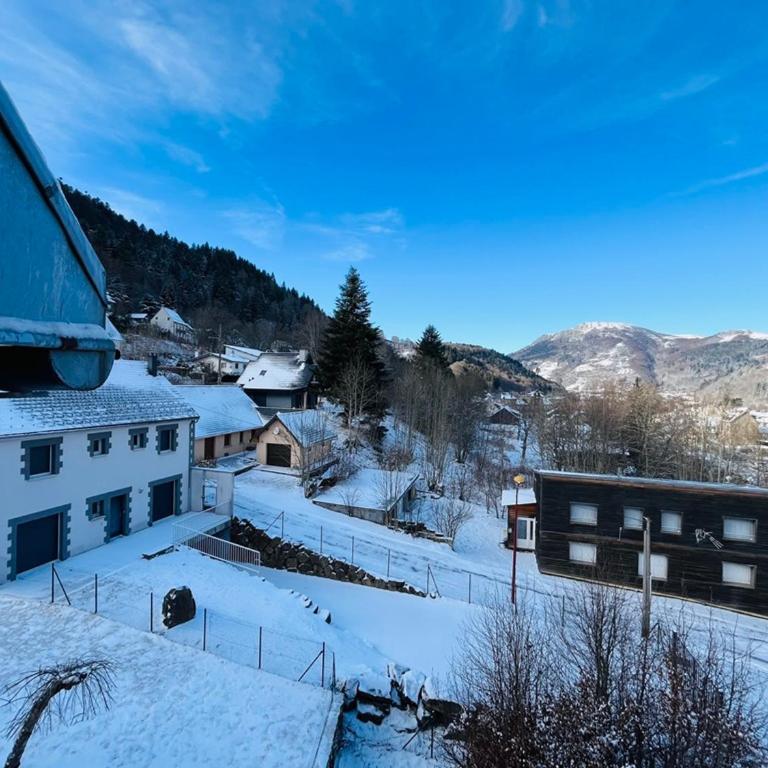Charmant T3 au Mont-Dore, jusqu'à 4 pers, wifi, vue Puy Gros - FR-1-608-265 - Apartment - 13